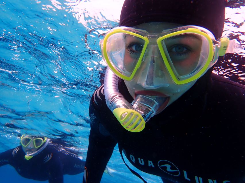 Mallorca: Snorkeling in a Beautiful Nature Reserve - The real schedule: 3.5 hours with a nature-reserve focus
