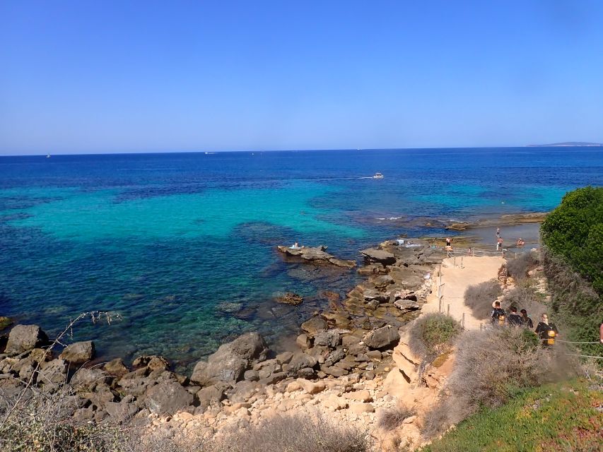 Mallorca: Snorkeling in a Beautiful Nature Reserve - What you’ll see under the water (and where the magic tends to happen)