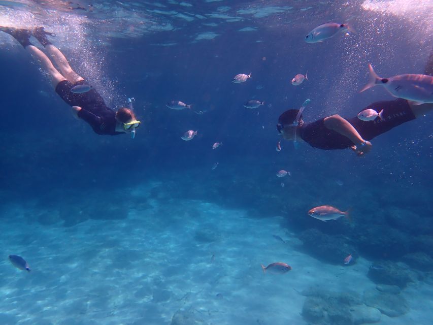 Mallorca: Snorkeling in a Beautiful Nature Reserve - Price and value: is $82 per person a fair deal?