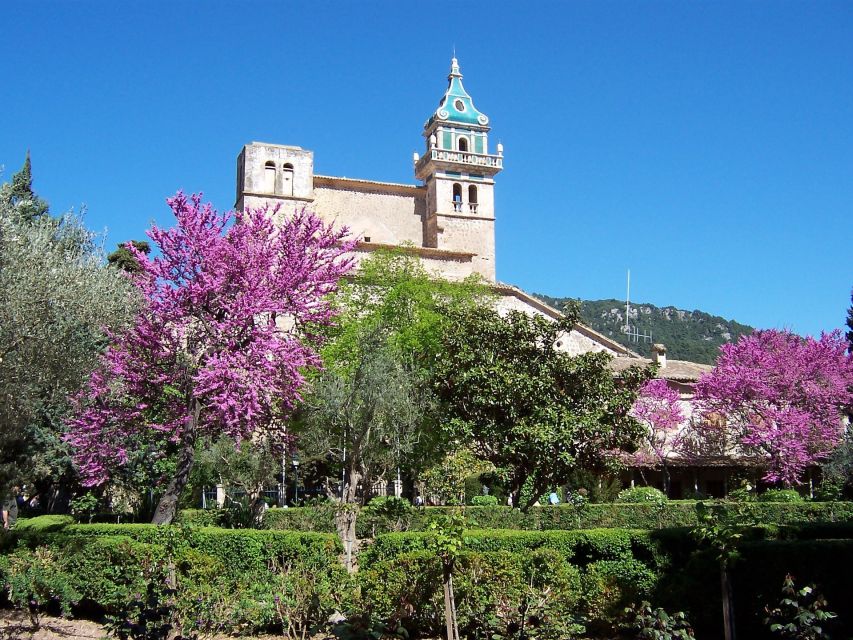 Mallorca: Soller Port and Valldemossa - Soller Port: sea air, sheltered waters, and a port shaped by the mountains