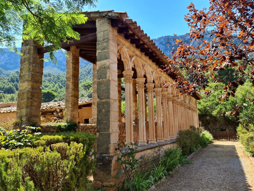 Mallorca: Tramuntana Mountains Tour with Local Guide & Lunch - Price and value: why $88 can make sense here