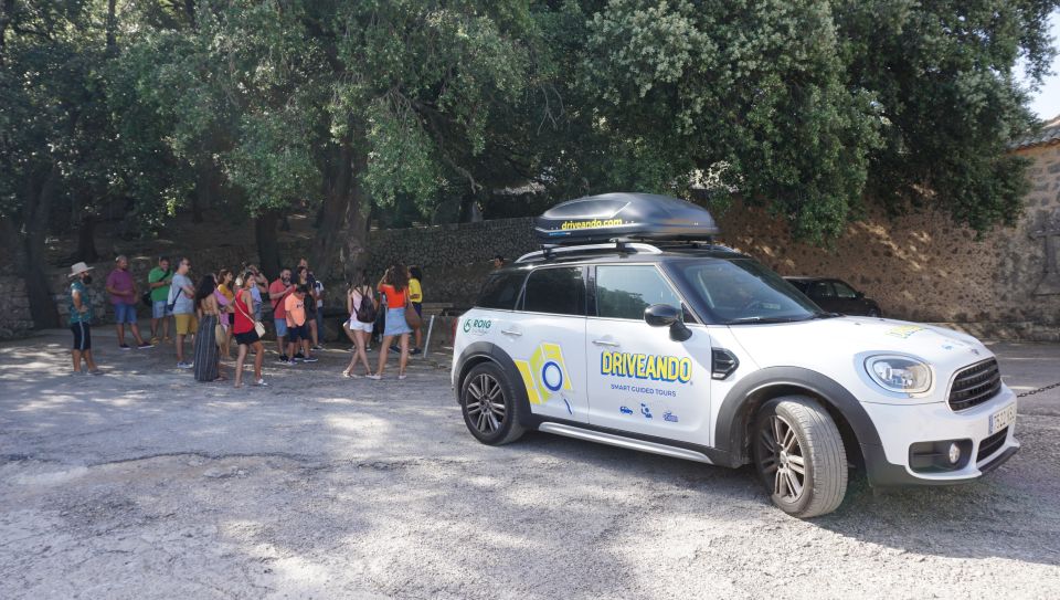 Mallorca: Tramuntana Mountains Tour with Local Guide & Lunch - Where you’ll get dropped off around the bay