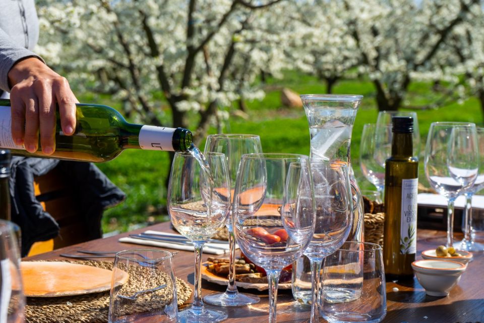 Mallorcas Emblematic Wineries Small Group Tour, two wineries - Why Mallorca Wine Country Feels Like a Real Day Out