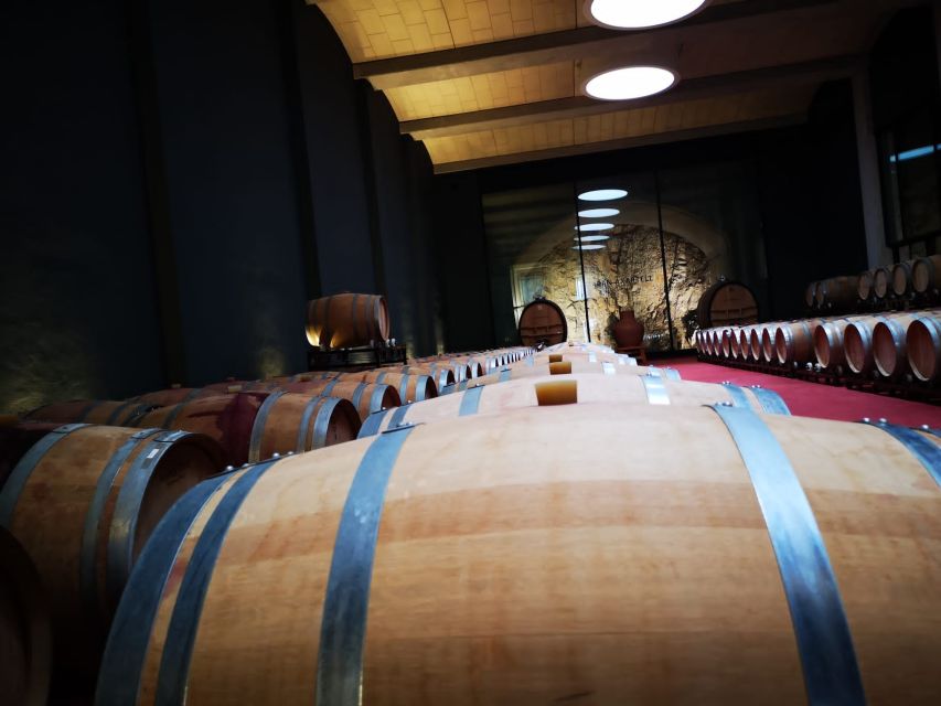 Mallorcas Emblematic Wineries Small Group Tour, two wineries - Getting Picked Up in Palma, Platja de Palma, or Llucmajor