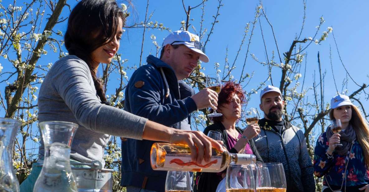 Mallorcas Emblematic Wineries Small Group Tour, two wineries - The Road Between Wineries: 30 Minutes That Save You From Planning