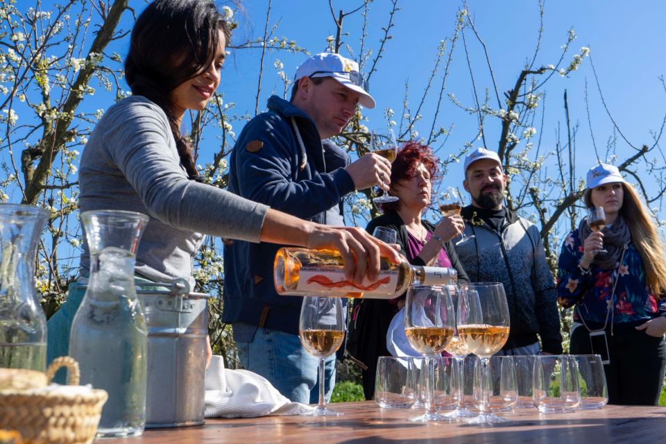 Mallorcas Emblematic Wineries Small Group Tour, two wineries - Price and Value: Is $159 a Fair Deal for Two Wineries?