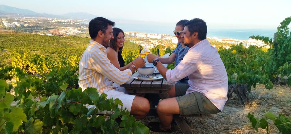 Manilva: Nilva Vineyard, Wine Tasting & Tapas Guided Tour - Key highlights you’ll care about