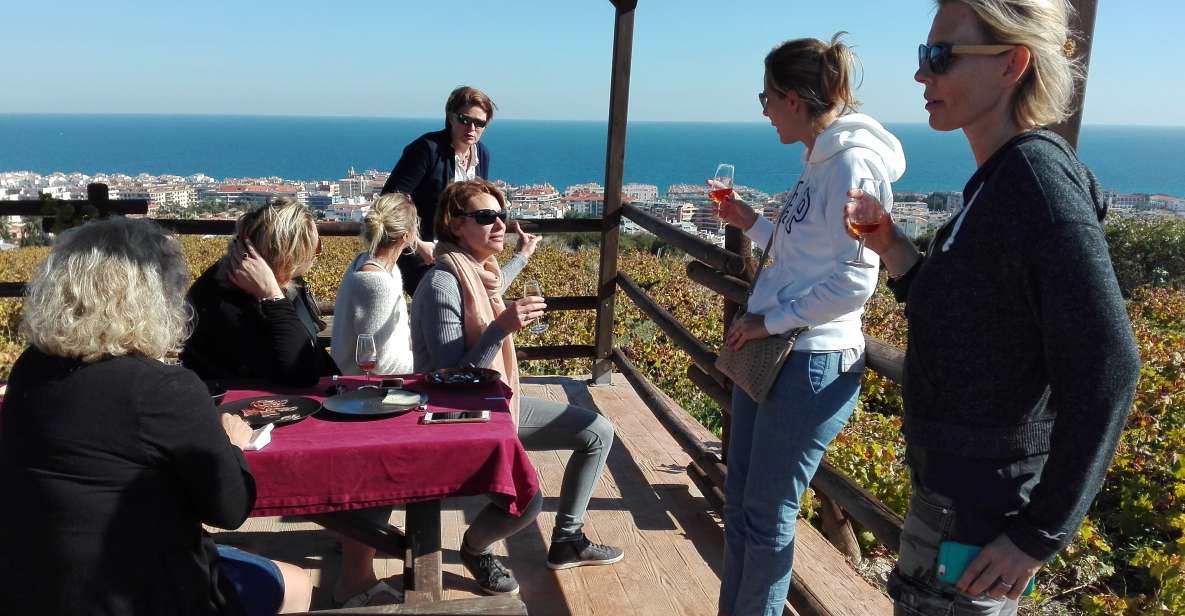 Manilva: Nilva Vineyard, Wine Tasting & Tapas Guided Tour - Manilva’s Moscatel vines and the Save the Vineyards mission