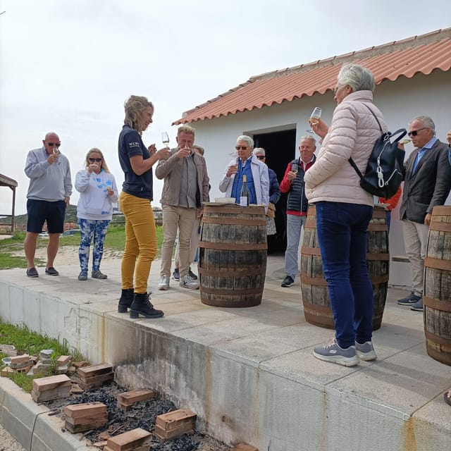 Manilva: Nilva Vineyard, Wine Tasting & Tapas Guided Tour - Viña del Peñoncillo tapas and sunset sea views toward Africa
