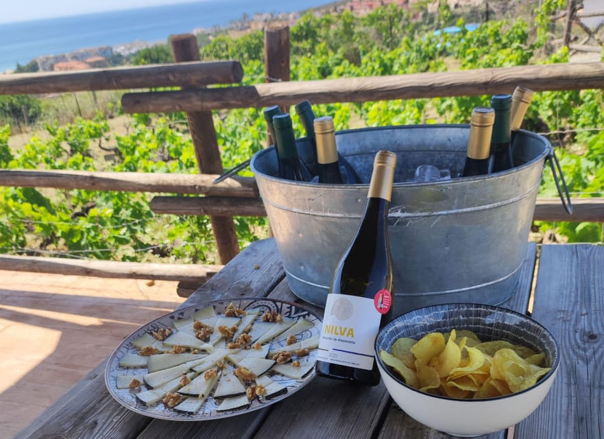 Manilva: Nilva Vineyard, Wine Tasting & Tapas Guided Tour - What’s included in the tasting: Nilva wines, ham, cheese, and how to enjoy it