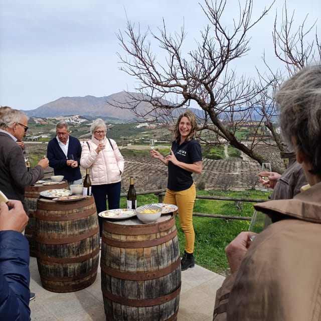 Manilva: Nilva Vineyard, Wine Tasting & Tapas Guided Tour - Practical matters: timing, weather, and getting between stops