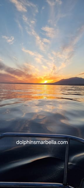 Marbella: Dolphin-Watching Sailboat Trip with Drinks, Snacks - Key points to know before you go