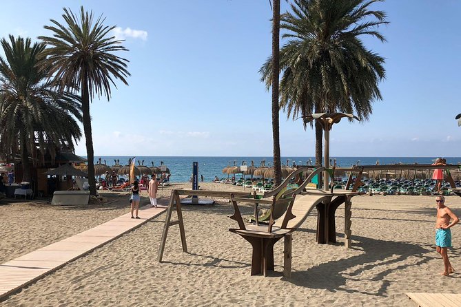 Marbella Old Town group tour with a True Local - Where the Tour Starts: A Shade Spot That Sets the Tone