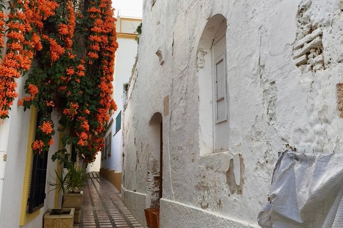 Marbella Old Town group tour with a True Local - Plaza Altamirano: Power, Palace, and the Feel of a Commanding Past