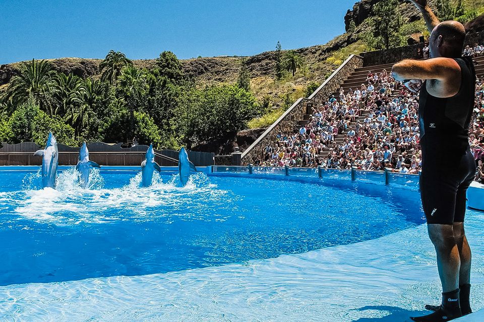 Maspalomas: Palmitos Park Ticket with Dolphin and Bird Shows - Getting there, finding the entrance, and using your voucher
