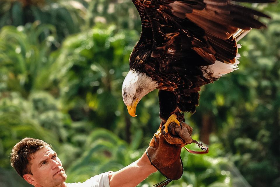 Maspalomas: Palmitos Park Ticket with Dolphin and Bird Shows - Palmitos Park near Maspalomas: what your one-day ticket really covers