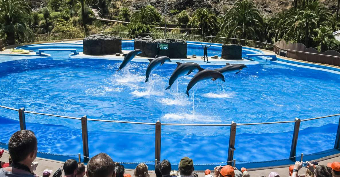 Maspalomas: Palmitos Park Ticket with Dolphin and Bird Shows - Birds of prey and exotic birds shows: where the views help the show