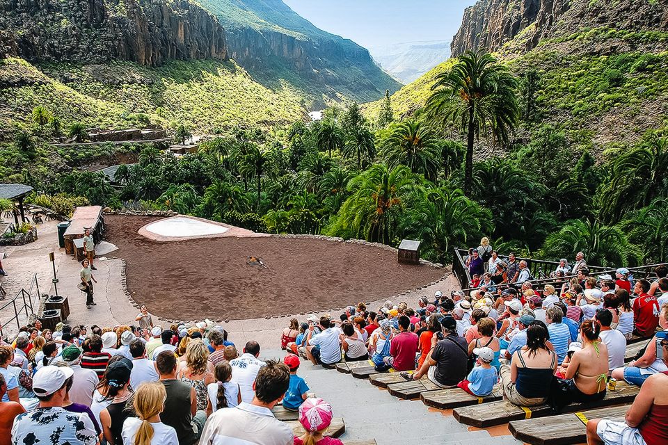 Maspalomas: Palmitos Park Ticket with Dolphin and Bird Shows - Gardens, butterfly house, and aquarium: the good in-between breaks