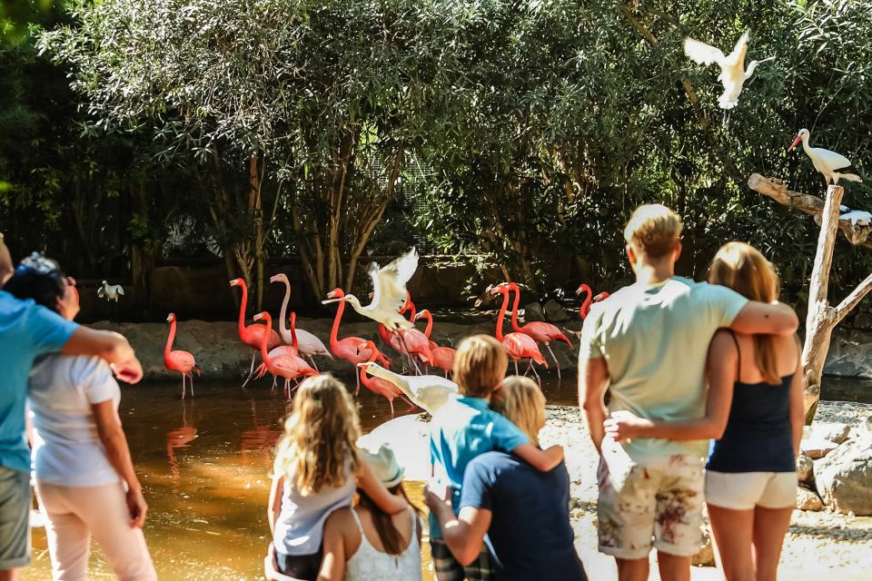 Maspalomas: Palmitos Park Ticket with Dolphin and Bird Shows - Food, drinks, and what costs extra inside