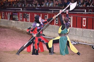 Medieval Show and Dinner at Castillo San Miguel with Transfer - Inside the Tournament Hall: teams, tabards, and the jousting spectacle