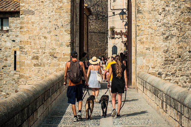 Medieval Three Villages Small Group Day Trip from Barcelona - Besalú: Romanesque Bridge, St. Pere, and the Mikveh Baths