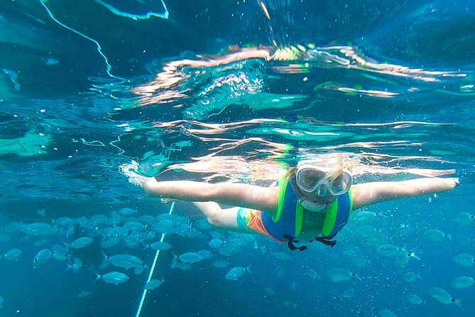 Meet the Sea: Family Boat trip to Conillera island - Key highlights worth knowing