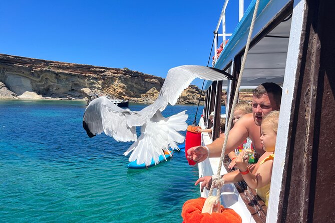 Meet the Sea: Family Boat trip to Conillera island - Price and Value: Is $114.93 a Fair Deal?