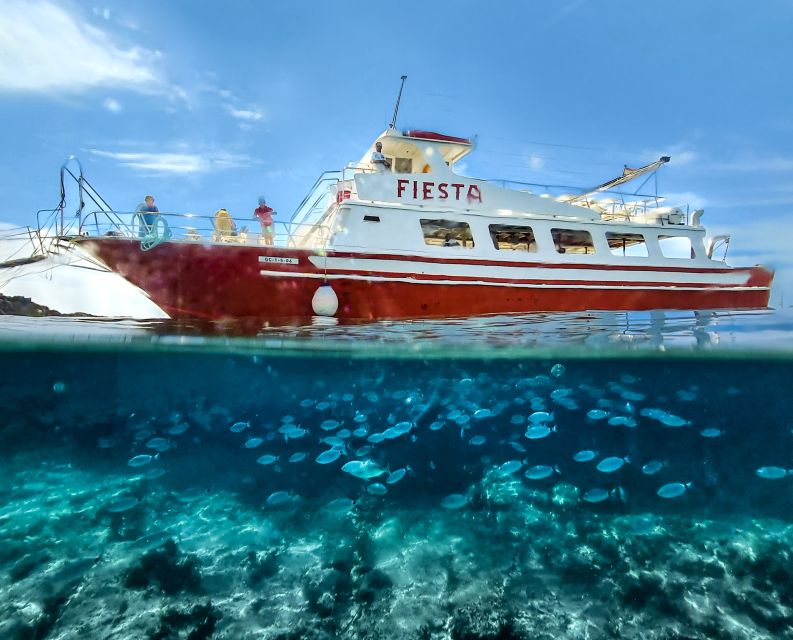Menorca: Full-Day Boat Tour with Paella Lunch - Key things I’d zero in on
