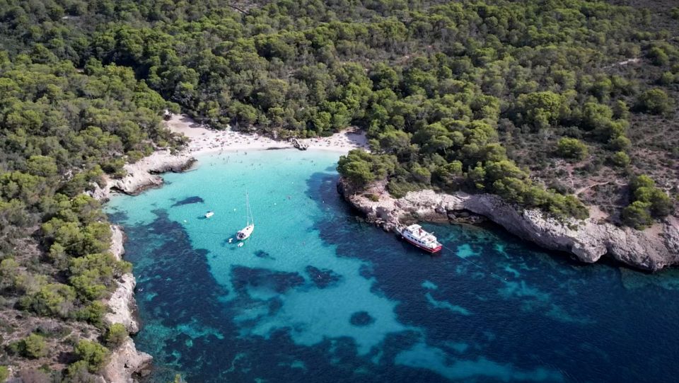 Menorca: Full-Day Boat Tour with Paella Lunch - Getting to and from the tour: pickup helps, but check your plan