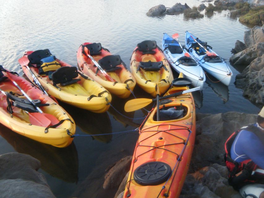 Menorca: Half-Day Kayak Excursion in Fornells - Caves and grottos: why this trip is different from normal boat tours