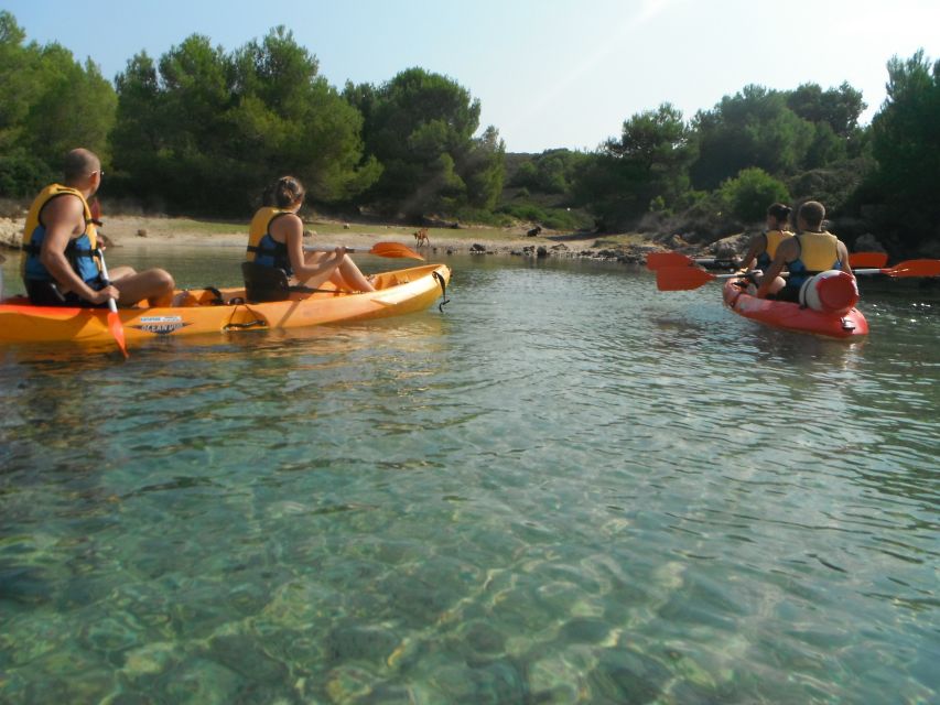 Menorca: Half-Day Kayak Excursion in Fornells - How much paddling is it, really?