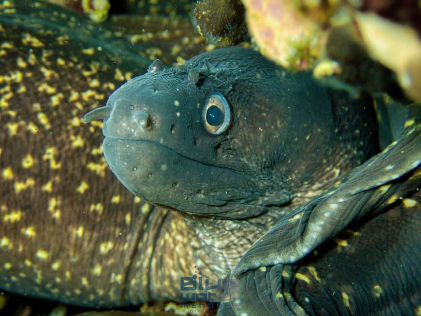 Menorca:Introducción al buceo en aguas cristalinas con fotos - Safety and environmental care: fun with rules (and a purpose)