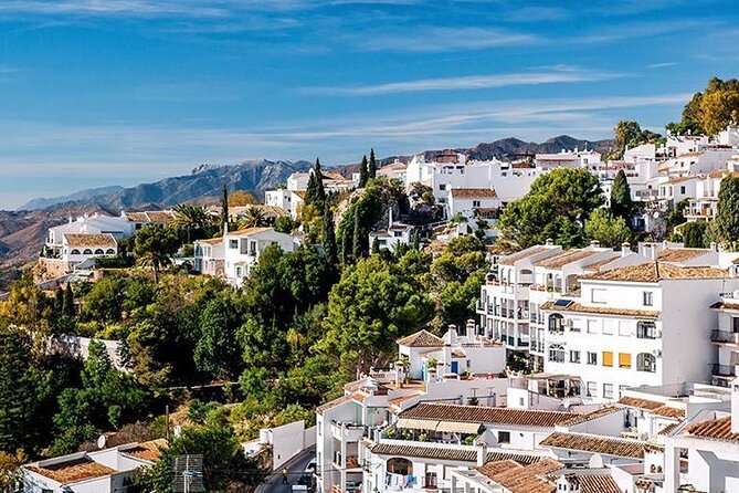 Mijas: Panoramic city tour in an electric Tuk Tuk - Electric vs Donkeys: The Real-World Tradeoff