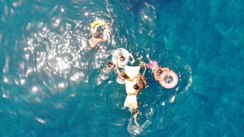 Mogan: Dolphin Watching Boat Trip with Swim Stop - Dolphin search along the South West coast: what you’ll look for