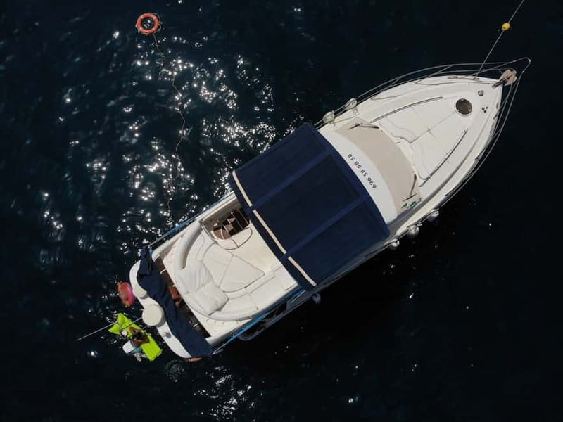 Mogan: Dolphin Watching Boat Trip with Swim Stop - What’s included: the meal, drinks, snorkel gear, and paddleboard