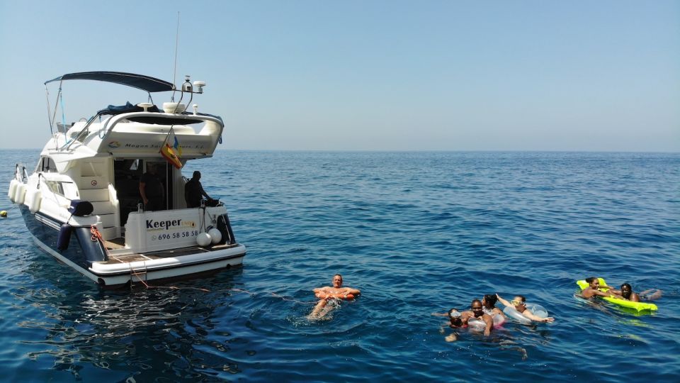 Mogan: Dolphin Watching Boat Trip with Swim Stop - Who this 4-hour dolphin cruise is best for