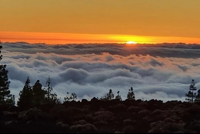 Monster Quad Teide Tour - Who should book this, and who should look elsewhere