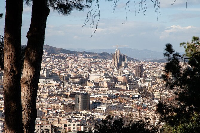 Montjuïc Walking Tour With Optional Flamenco Show - Why This Montjuïc Walk Works When You Have Limited Time