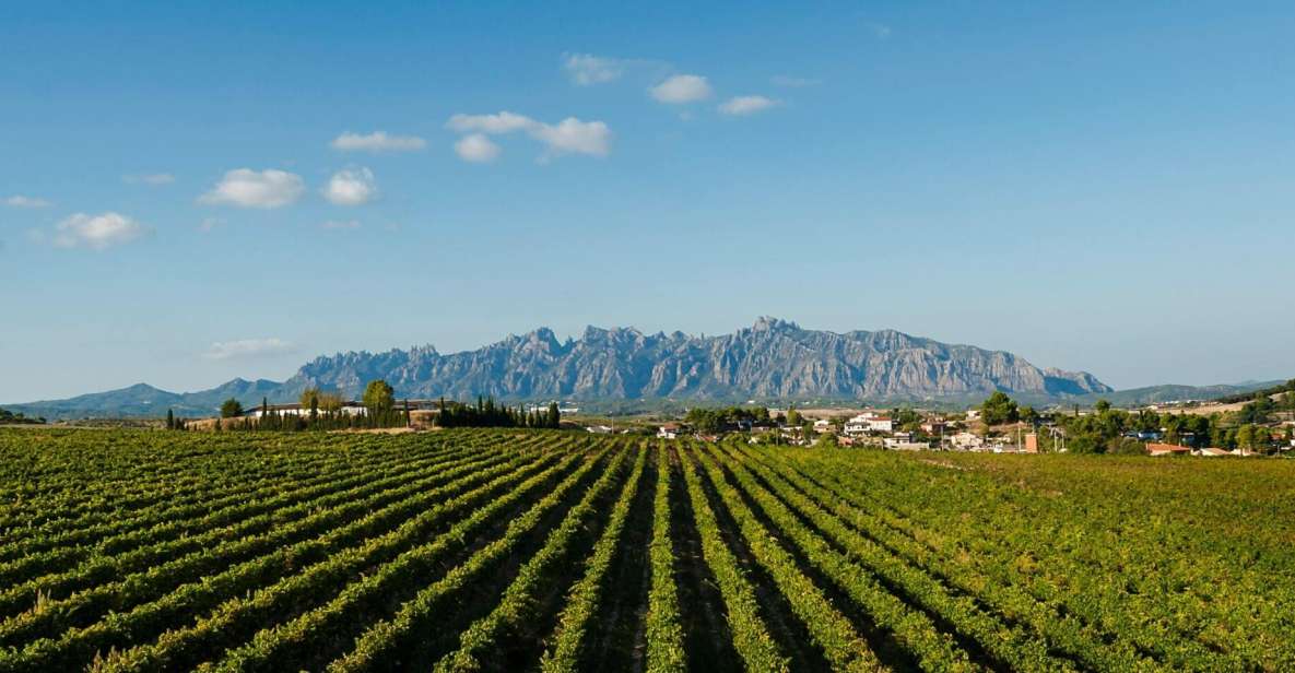 Montserrat & Cava Wineries Day Trip from Barcelona w/ Pickup - Santa Cova (Holy Grotto): Why This Stop Feels Different