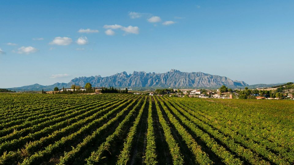 Montserrat & Cava Wineries Day Trip from Barcelona w/ Pickup - The Penedès Drive: From Pilgrims to Sparkling Wine