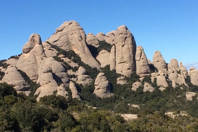 Montserrat Hiking Experience & Monastery Premium Small Group Tour - After the hike: monastery free time, farmer’s market, and snacks