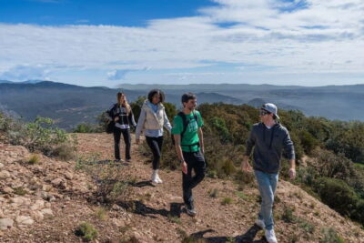 Montserrat Monastery & Hike from Barcelona — Max 8 Guests - Montserrat Abbey & the Black Madonna: what you’re actually seeing