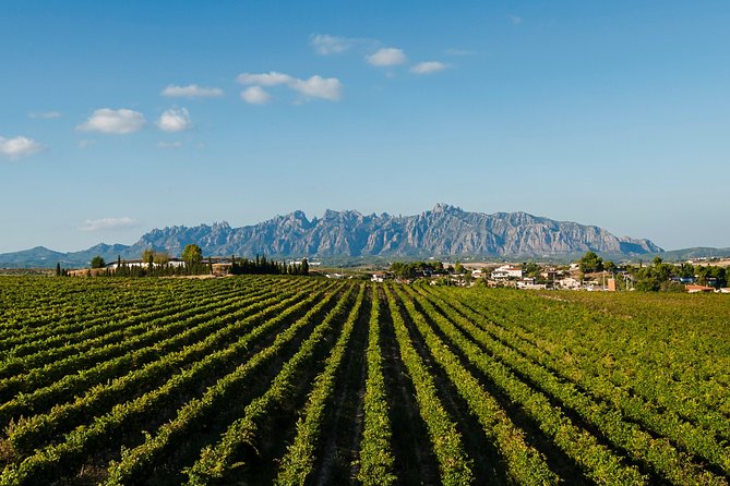 Montserrat,Vineyard, Wine Tasting Small Group Tour & Hotel Pickup - Abadia de Montserrat Basilica and the Moreneta