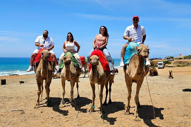 Morocco: Tangier Private Tour from Malaga & Tarifa, All Inclusive - Camel Ride on the Atlantic Dunes: Optional Fun, Not a Movie Set