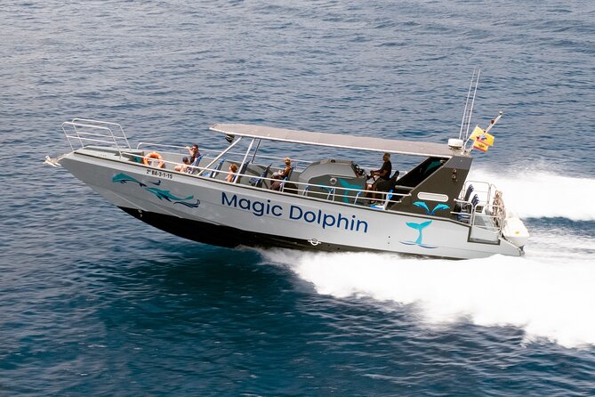 Morro Jable: 2 Hours Magic Dolphin & Whale watching with Drinks & Swim Stop. - Drinks, Comfort, and the Reality of Cold Spray
