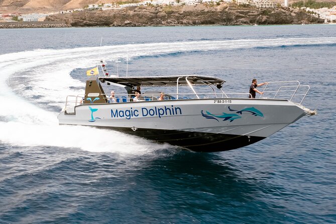Morro Jable: 2 Hours Magic Dolphin & Whale watching with Drinks & Swim Stop. - Guides and Captains: The Human Factor That Makes the Difference
