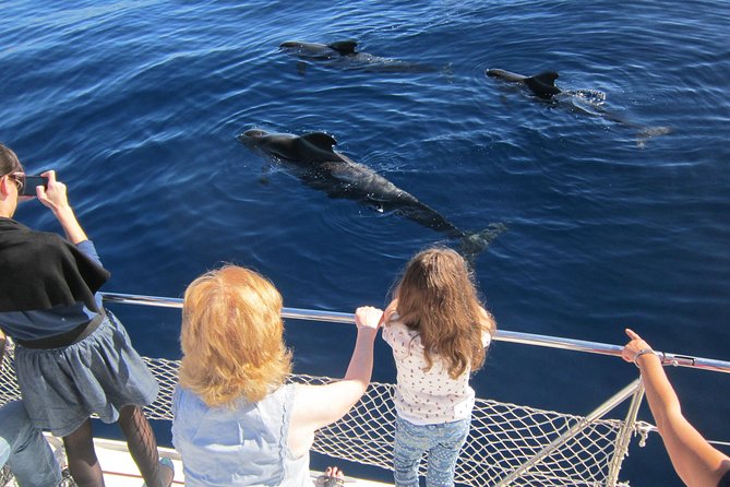 Most Famous Catamaran in Tenerife Island (2 hours and 3 hours tours) - Unlimited beer and soft drinks: part of the value, with a couple practical notes