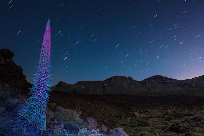 Mount Teide Night Tour: Stargazing, Dinner and Hotel Pick up - Getting There and Back: The 6:30 pm Pickup and the Bus Time Trade-off