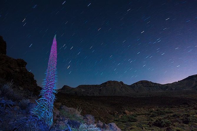Mount Teide Night Tour: Stargazing, Dinner and Hotel Pick up - Stargazing With the Starlight Guide: Lasers, Constellations, and the Real Lesson