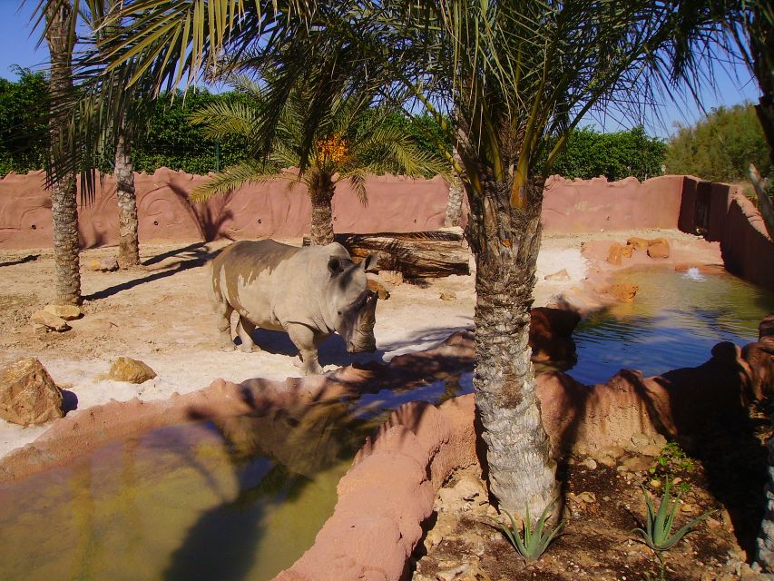 Murcia: Terra Natura Murcia Ticket Entry - The Two-Themed Walk: What to Look For in Kenya and Iberia